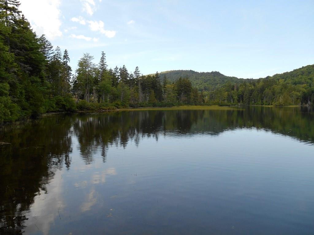 429 Main Street Farmington, ME 04938 - Photo 1 of 20 Photo