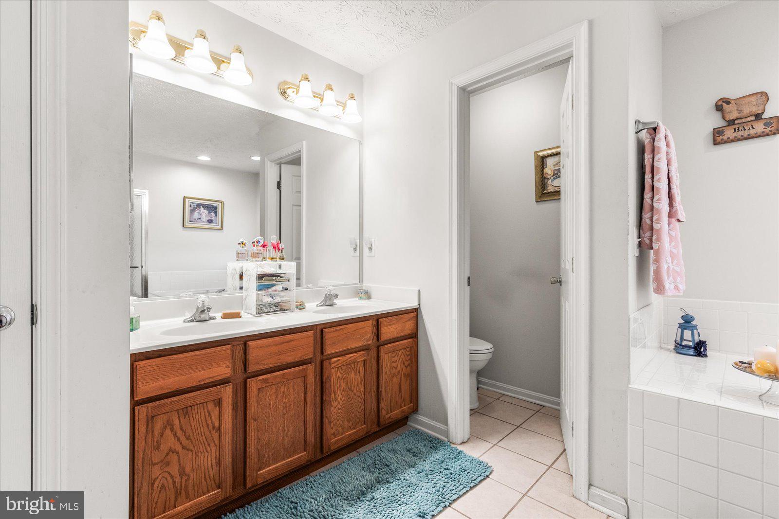 20 Sydney Drive Hanover, PA 17331 - Photo 43 of 73 a bathroom with a double vanity sink a toilet and a mirror