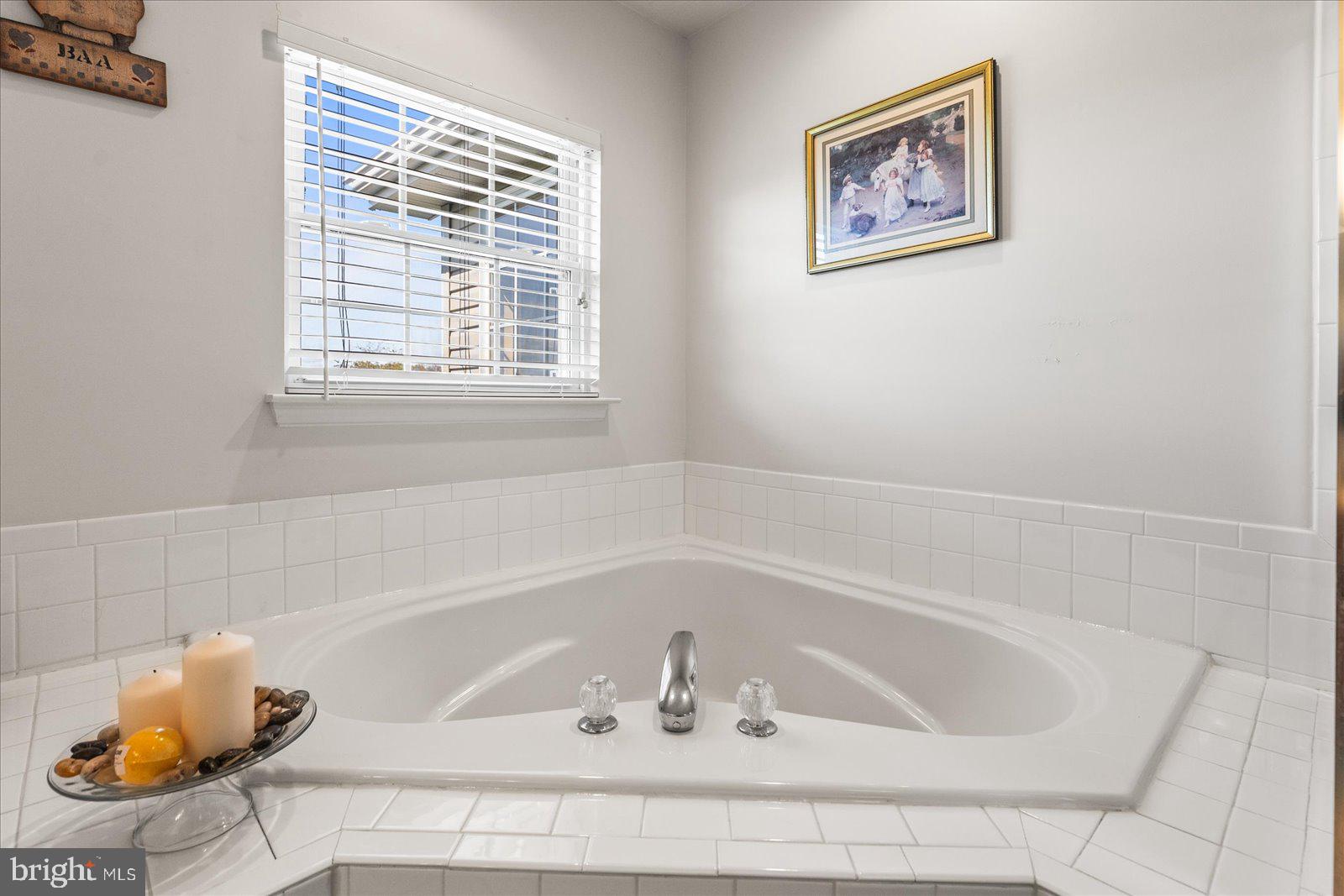 20 Sydney Drive Hanover, PA 17331 - Photo 46 of 73 a bathroom with a bathtub and a window