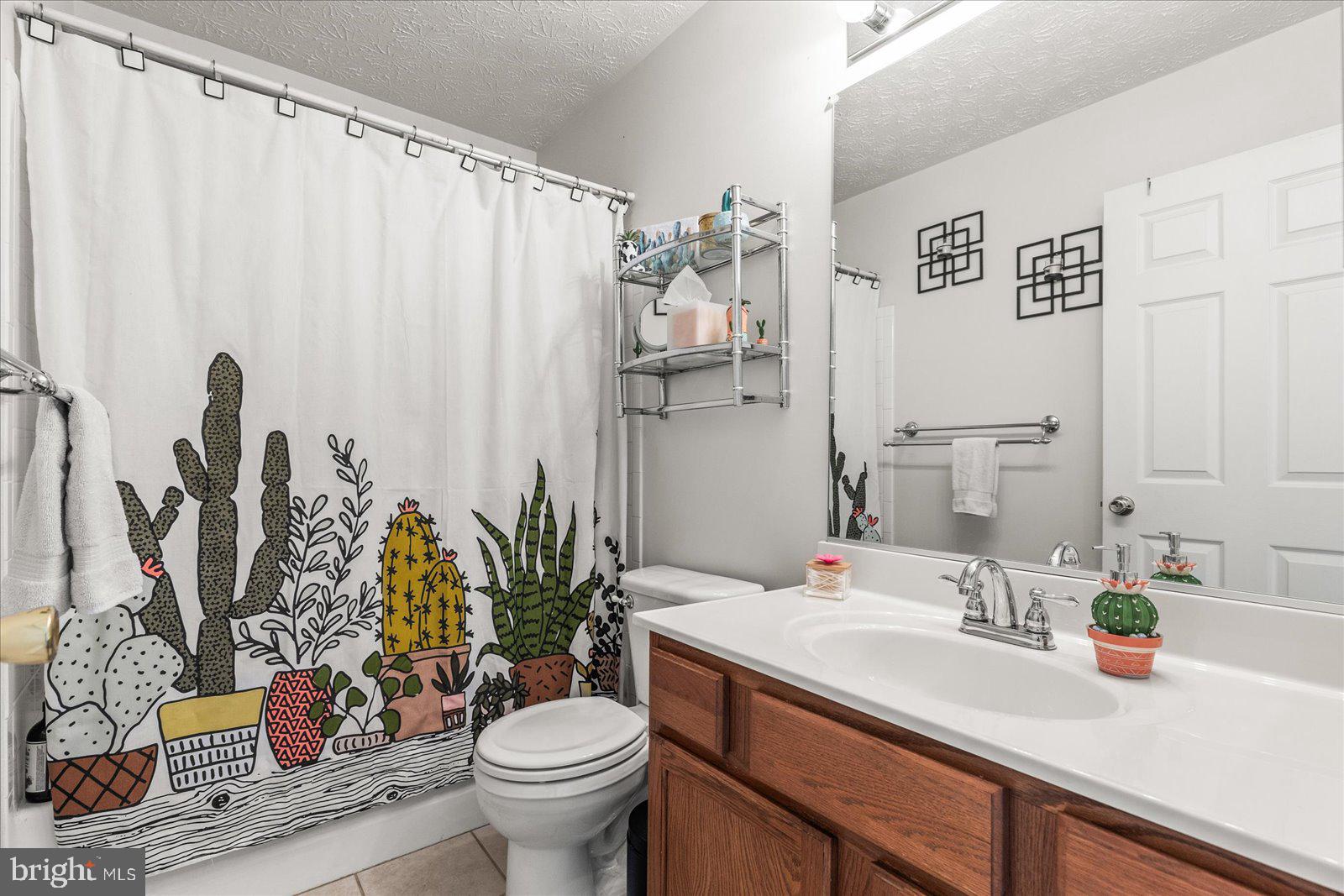 20 Sydney Drive Hanover, PA 17331 - Photo 53 of 73 a bathroom with a potted plant on the counter and a sink