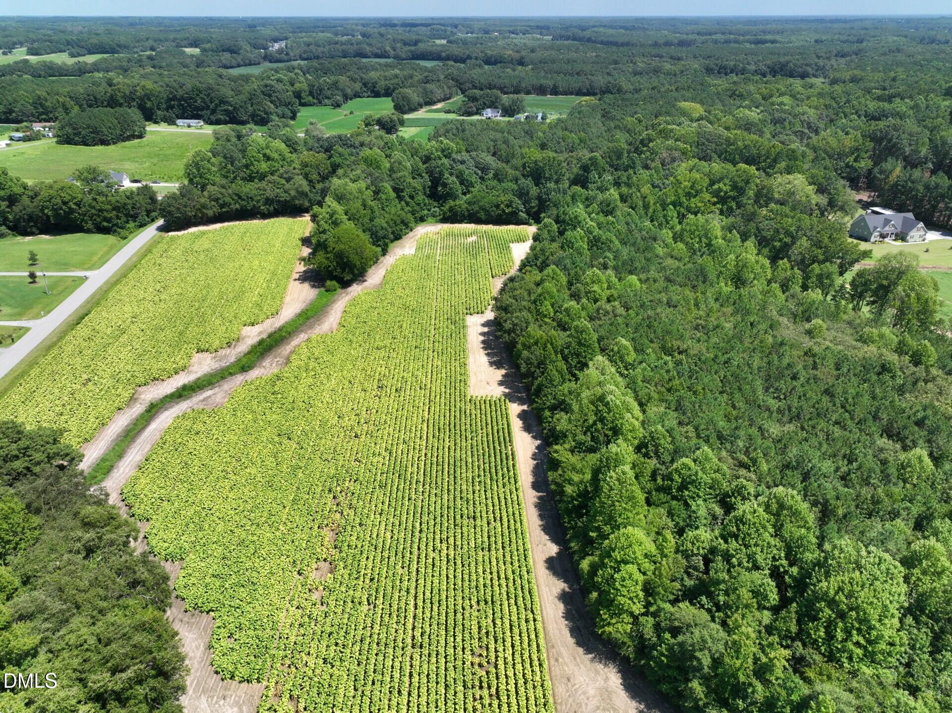 Lot 2 River Run Road Selma, NC 27576 - Photo 12 of 25 Pic 11 Selma