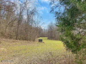 $349,000 | 1002 Travelers Rest, Lorman, MS 39096