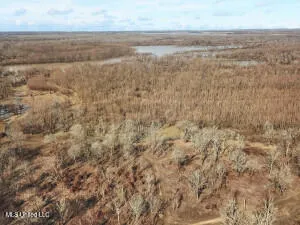 $349,000 | 1002 Travelers Rest, Lorman, MS 39096