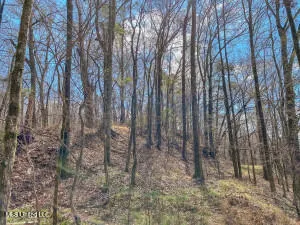 $349,000 | 1002 Travelers Rest, Lorman, MS 39096