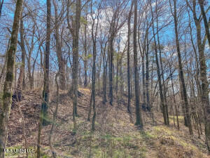 1002 Travelers Rest Lorman, MS 39096 - Photo 19 of 35 20250707200521892681000000