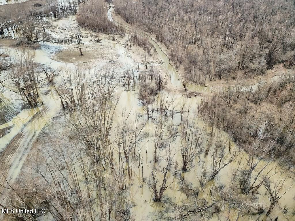 1002 Travelers Rest Lorman, MS 39096 - Photo 2 of 35 144262_1