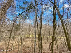 $349,000 | 1002 Travelers Rest, Lorman, MS 39096