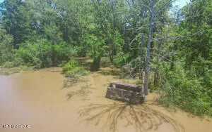 $349,000 | 1002 Travelers Rest, Lorman, MS 39096