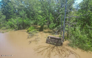 1002 Travelers Rest Lorman, MS 39096 - Photo 24 of 35 20250707200526408533000000