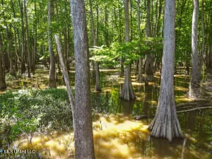 $349,000 | 1002 Travelers Rest, Lorman, MS 39096