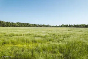 $349,000 | 1002 Travelers Rest, Lorman, MS 39096