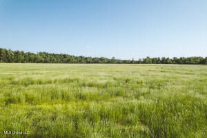 1002 Travelers Rest Lorman, MS 39096 - Photo 26 of 35 20250707200527605889000000