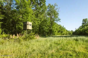 $349,000 | 1002 Travelers Rest, Lorman, MS 39096