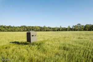 1002 Travelers Rest Lorman, MS 39096 - Photo 28 of 35 20250707200528649412000000