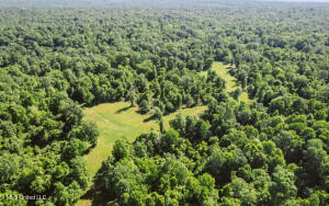 1002 Travelers Rest Lorman, MS 39096 - Photo 31 of 35 20250707200530607280000000