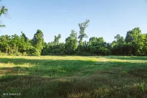 $349,000 | 1002 Travelers Rest, Lorman, MS 39096