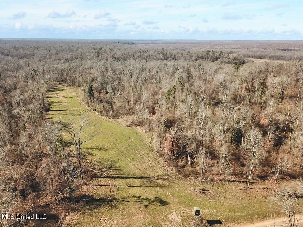 1002 Travelers Rest Lorman, MS 39096 - Photo 5 of 35 144262_5