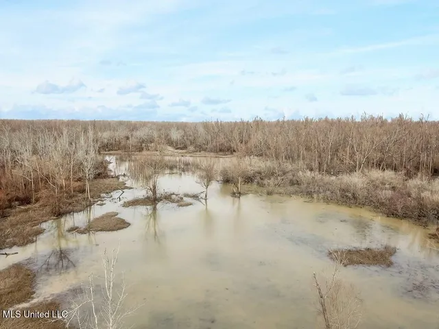 $349,000 | 1002 Travelers Rest, Lorman, MS 39096