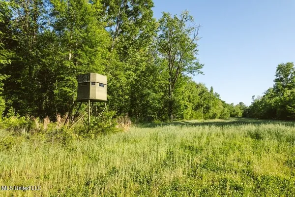 $349,000 | 1002 Travelers Rest, Lorman, MS 39096