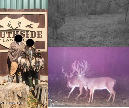 $349,000 | 1002 Travelers Rest, Lorman, MS 39096