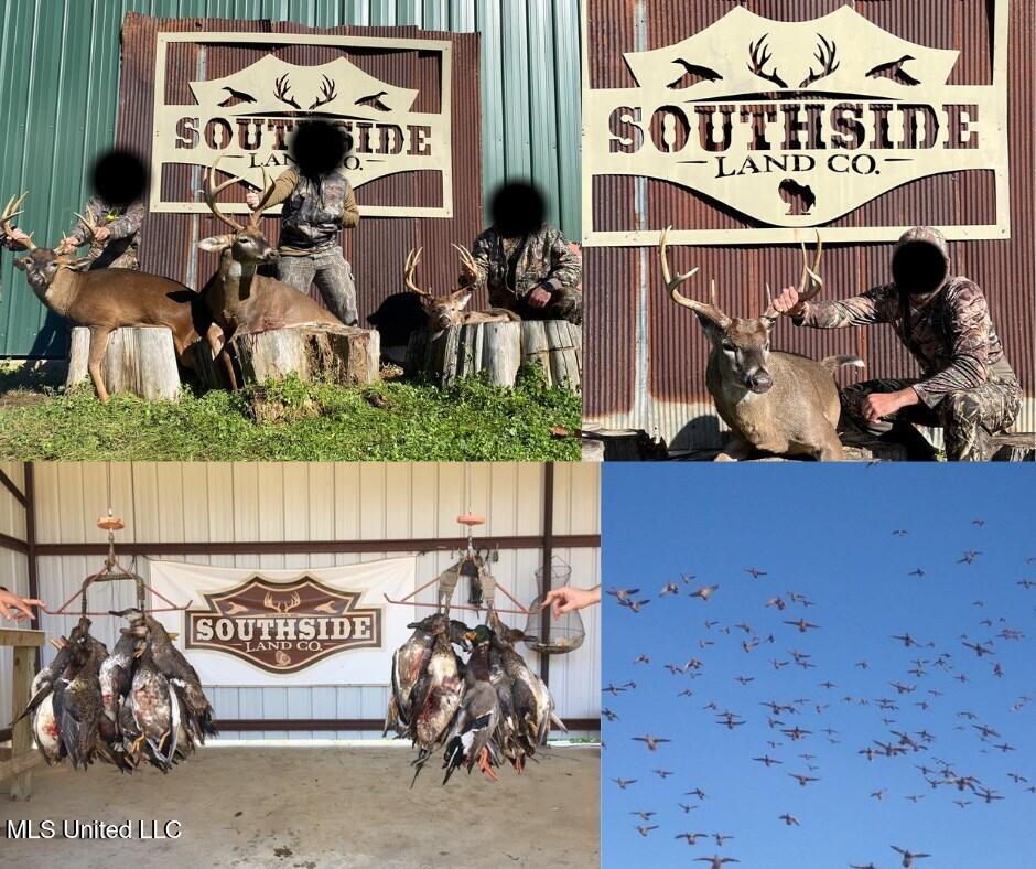 1002 Travelers Rest Lorman, MS 39096 - Photo 10 of 35 144262_46