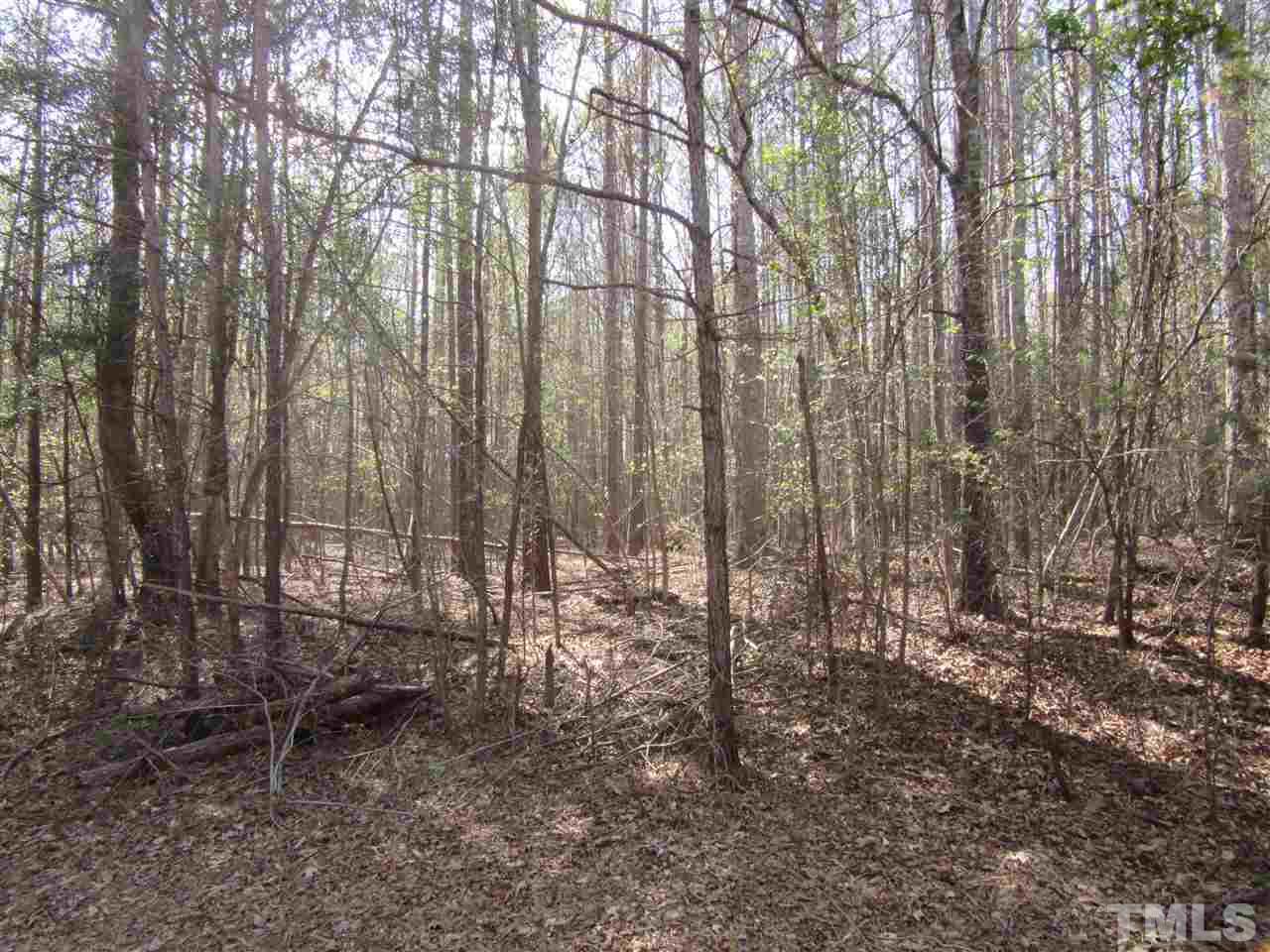 2-3 Driver Road, Unit 11 34 ACRES Middlesex, NC 27557 - Photo 4 of 4 Gallery Image 4