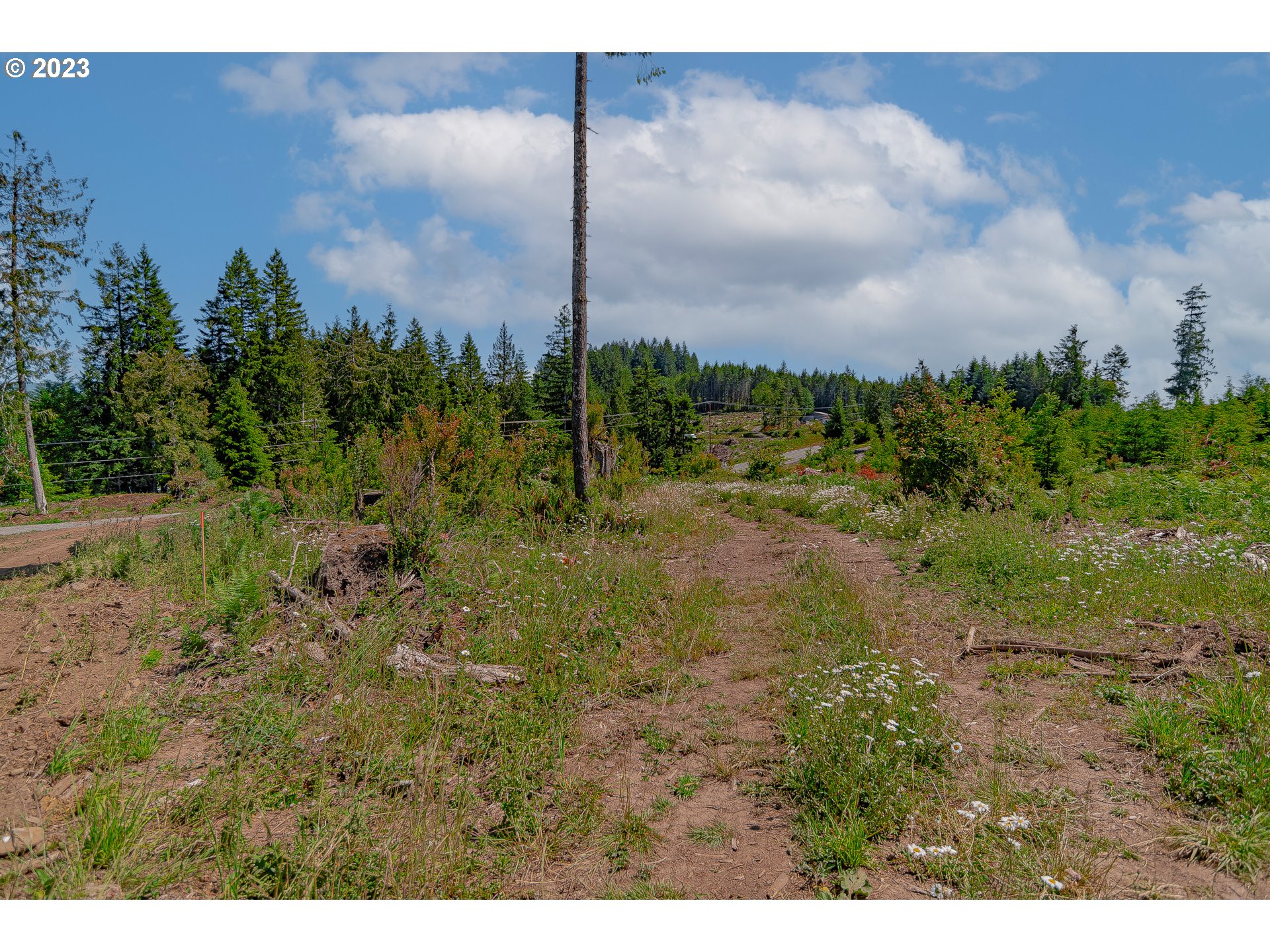 0 South Silver Lake Road, Unit 9 Castle Rock, WA 98611 - Photo 10 of 11 Gallery Image 10