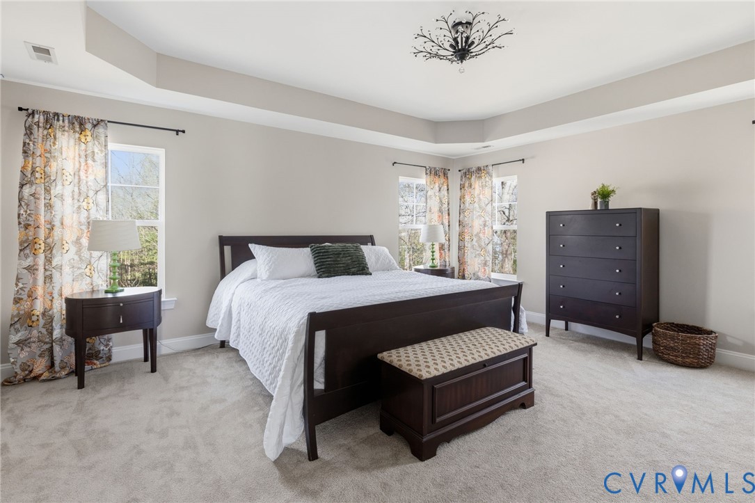 15206 Blackrail Road Chesterfield, VA 23832 - Photo 27 of 54 Primary bedroom has new carpet, fresh paint & tray