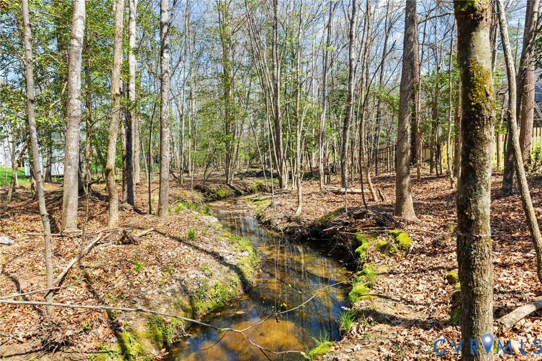 15206 Blackrail Road Chesterfield, VA 23832 - Photo 46 of 54 Small stream on the property fills when it rains
