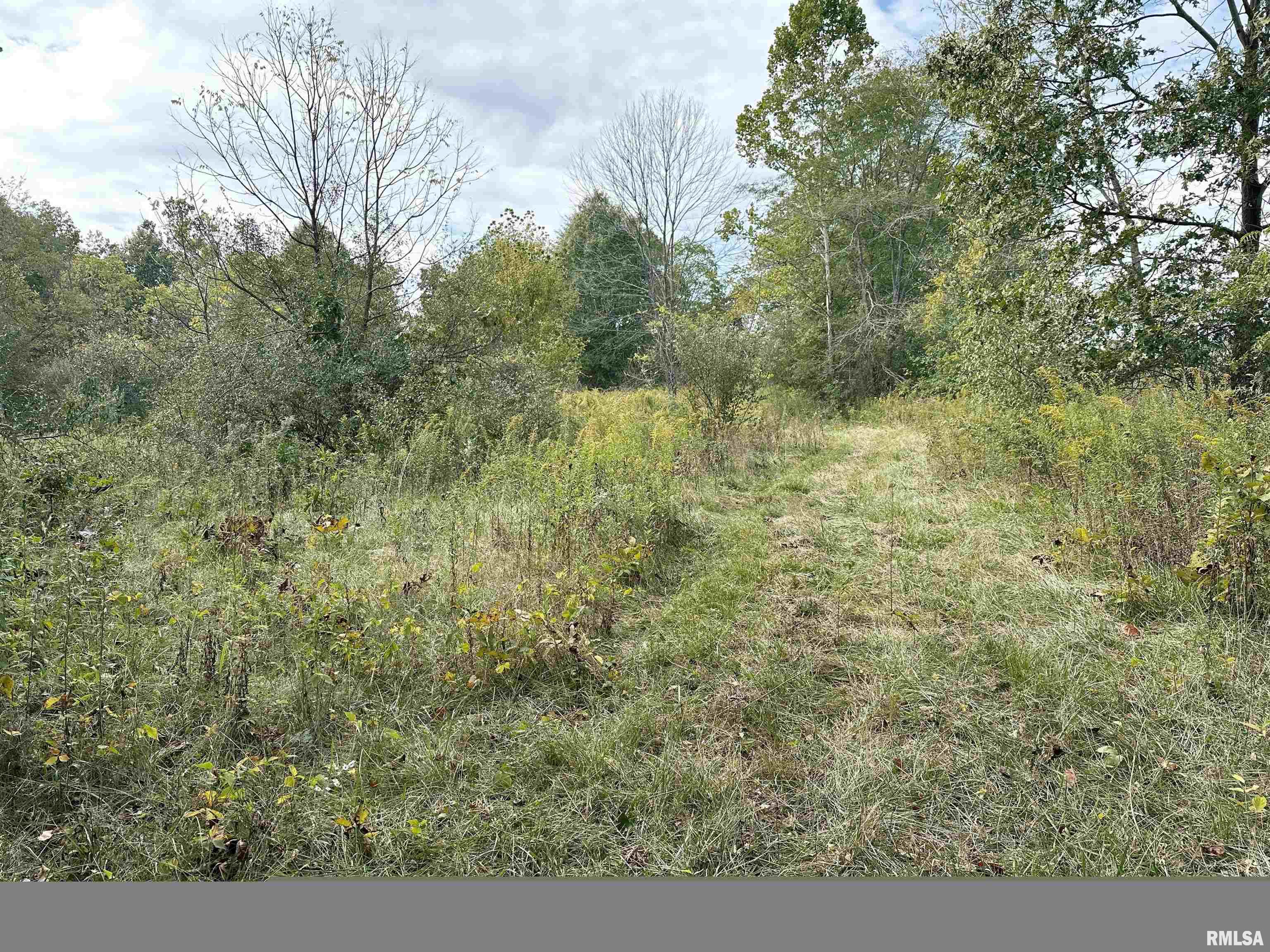 11611 North Friendship Road Martinsville, IL 62442 - Photo 11 of 34 Gallery Image 11