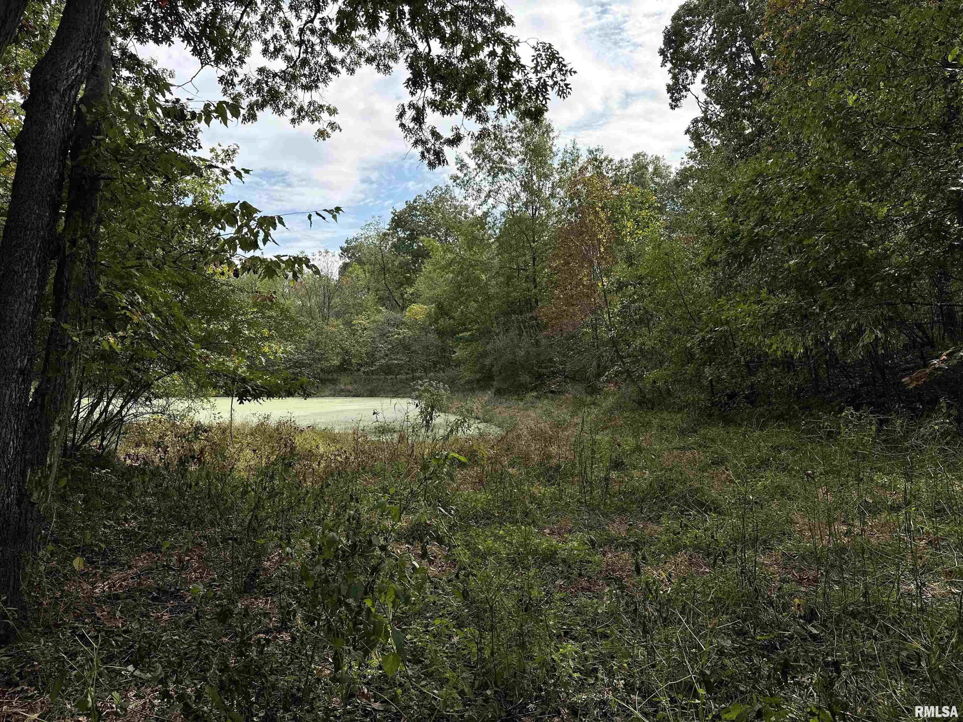 11611 North Friendship Road Martinsville, IL 62442 - Photo 12 of 34 Gallery Image 12