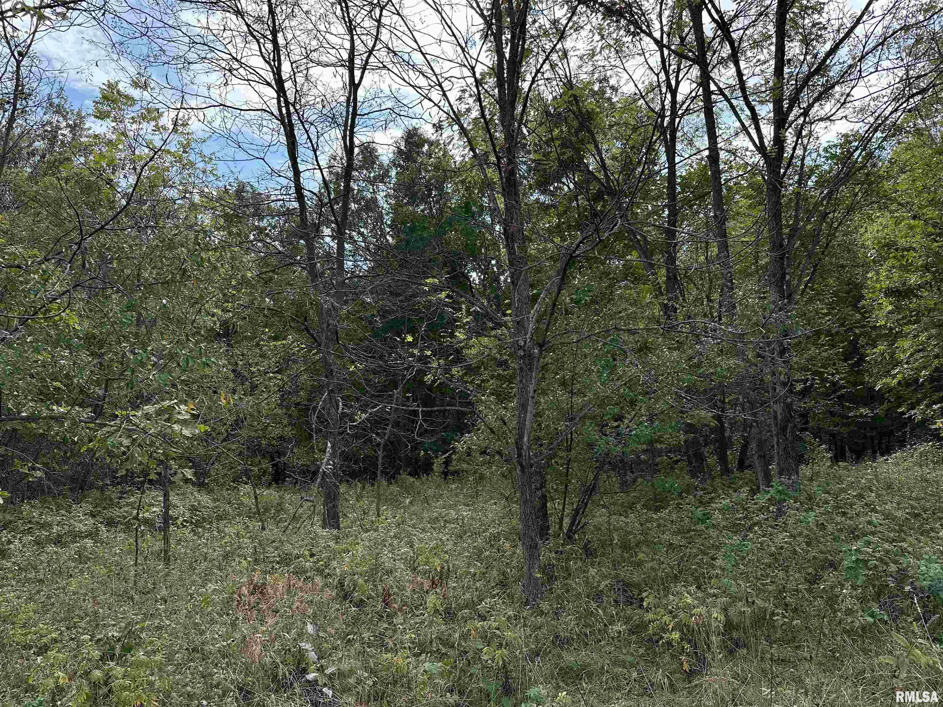 11611 North Friendship Road Martinsville, IL 62442 - Photo 18 of 34 Gallery Image 18
