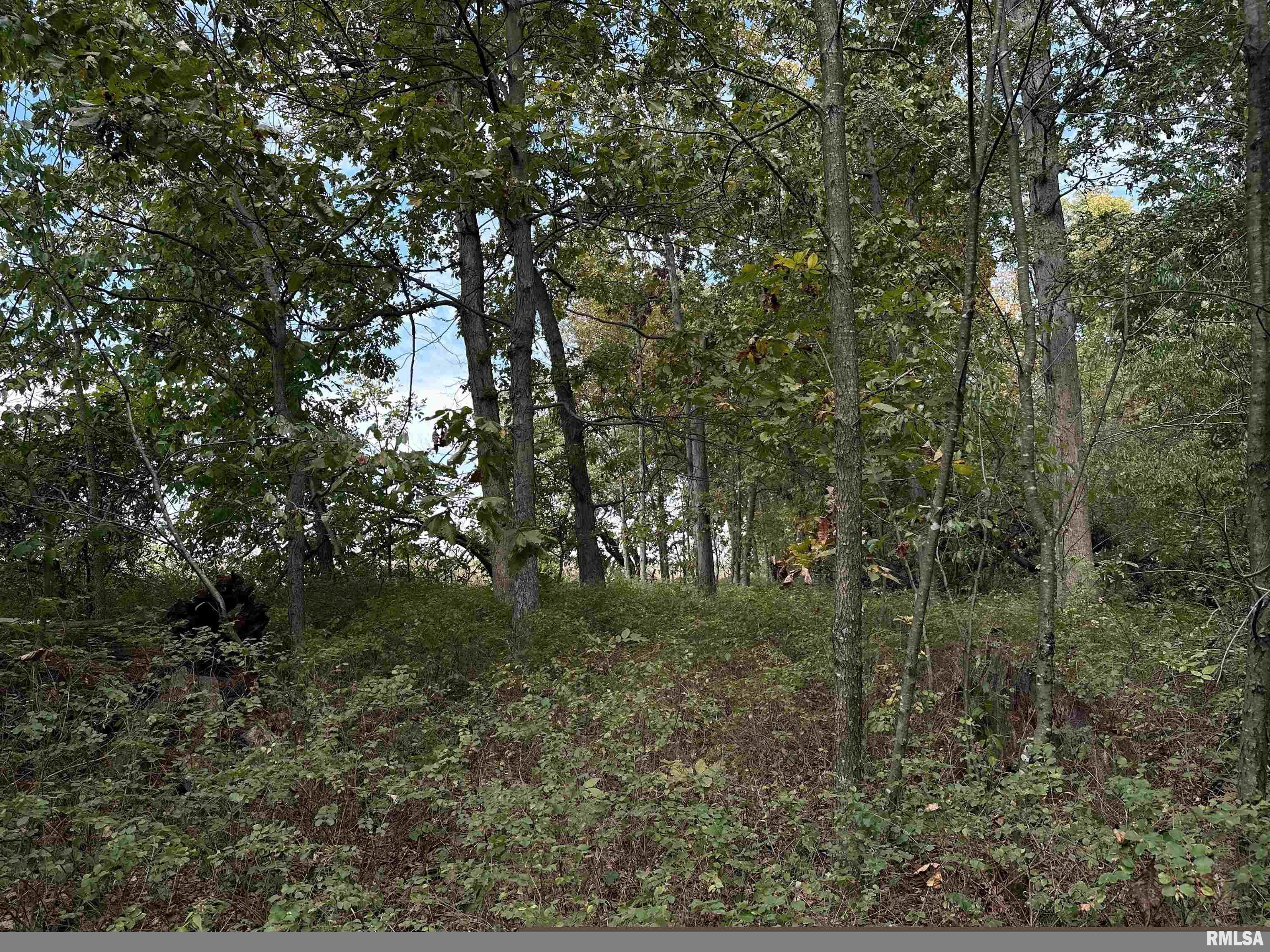 11611 North Friendship Road Martinsville, IL 62442 - Photo 28 of 34 Gallery Image 28