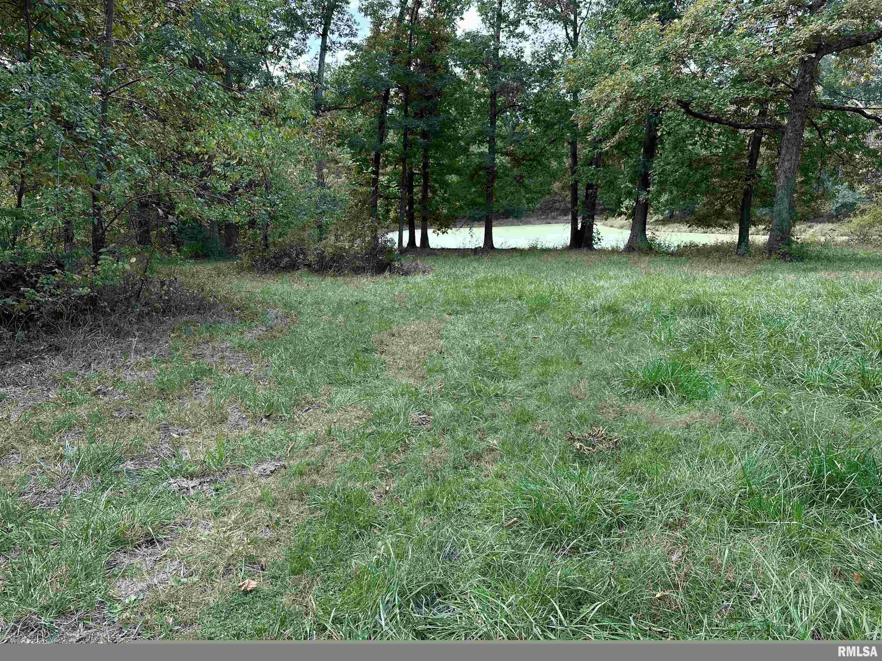 11611 North Friendship Road Martinsville, IL 62442 - Photo 5 of 34 Gallery Image 5