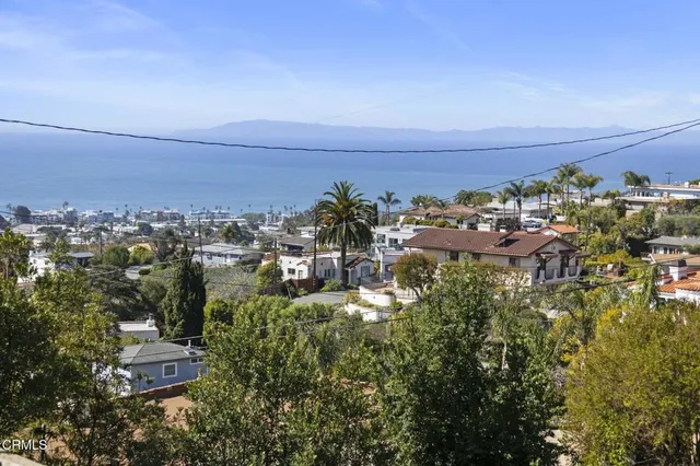 a view of a flower in a garden