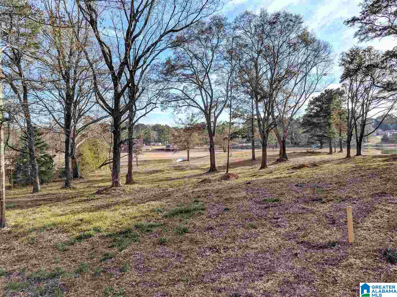4808 Masters Road Pell City, AL 35128 - Photo 7 of 26