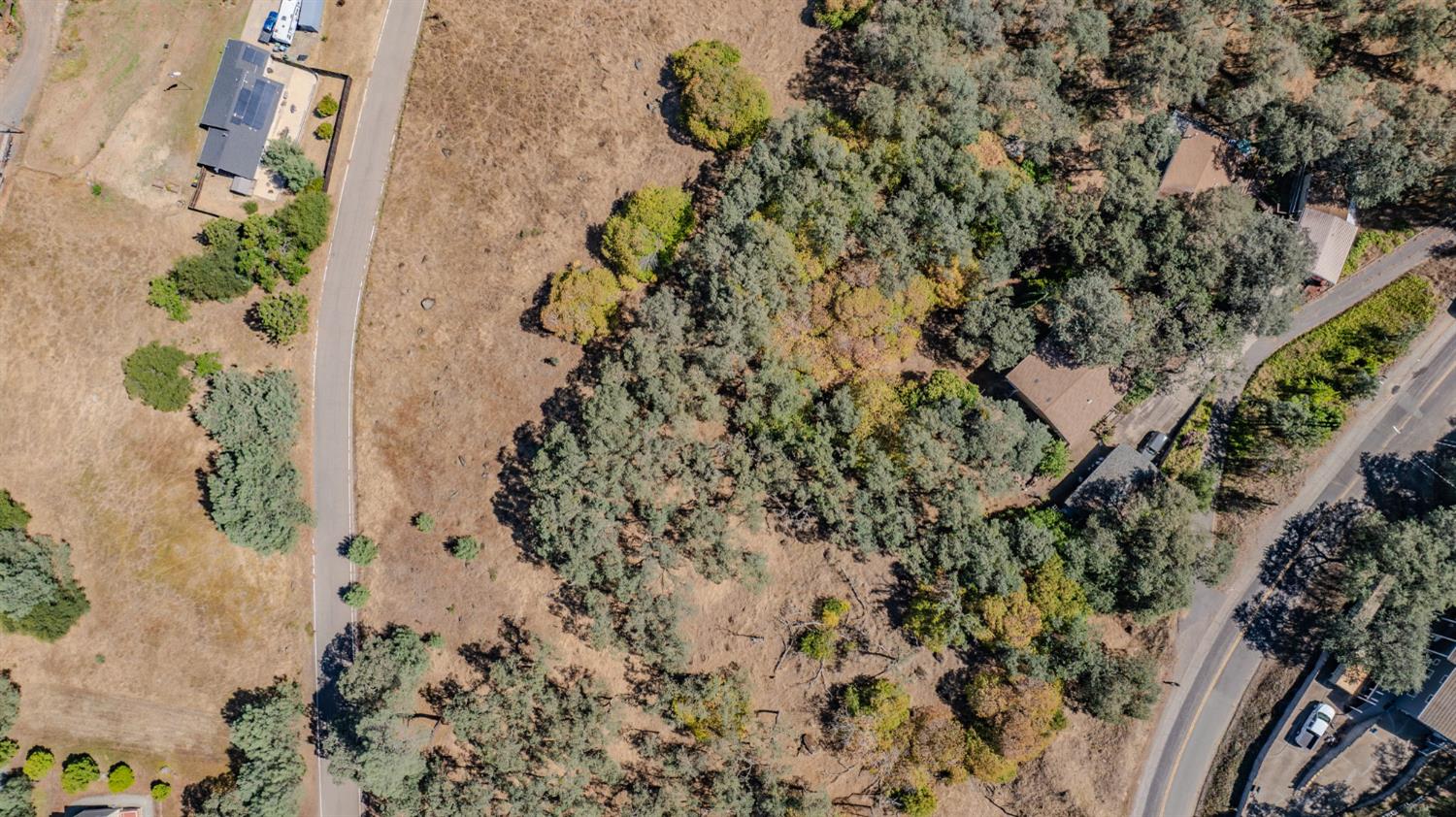3721 Dunn Road Valley Springs, CA 95252 - Photo 6 of 14 a picture of a plant