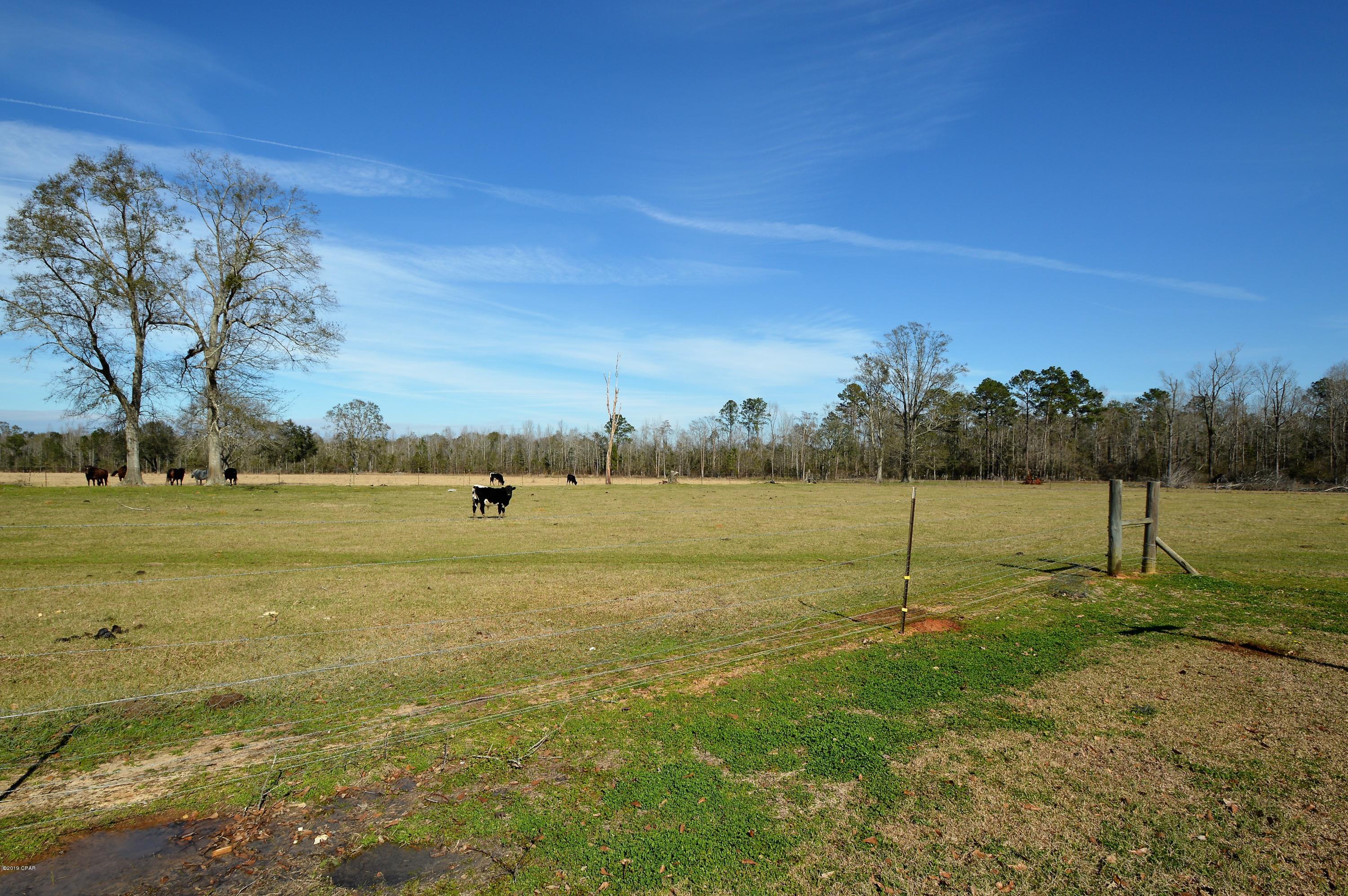 5140 Galloway Road, Unit B Graceville, FL 32440 - Photo 13 of 13 Gallery Image 13