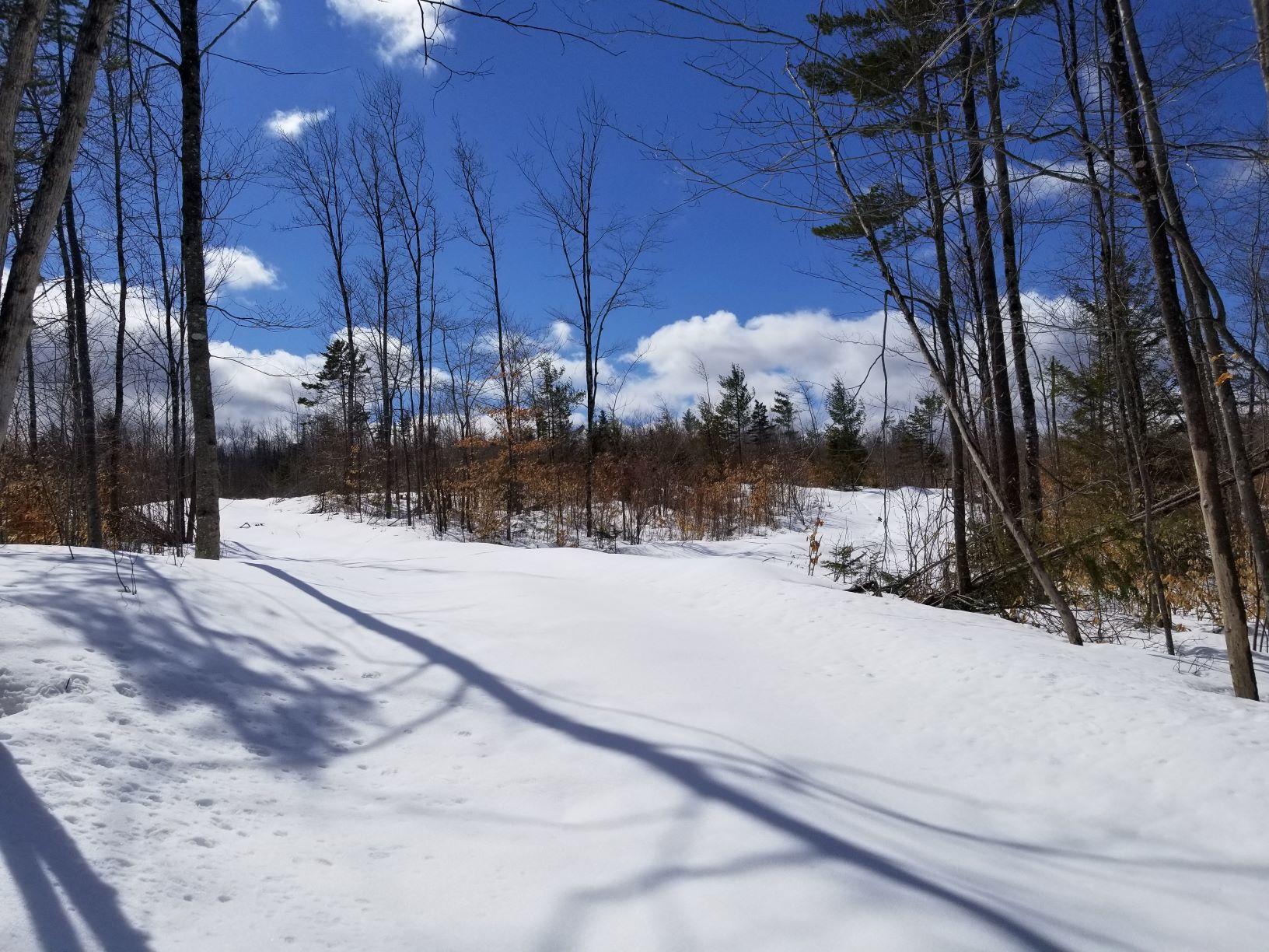 0 Rangeley Road Avon, ME 04966 - Photo 24 of 62 Access road 3