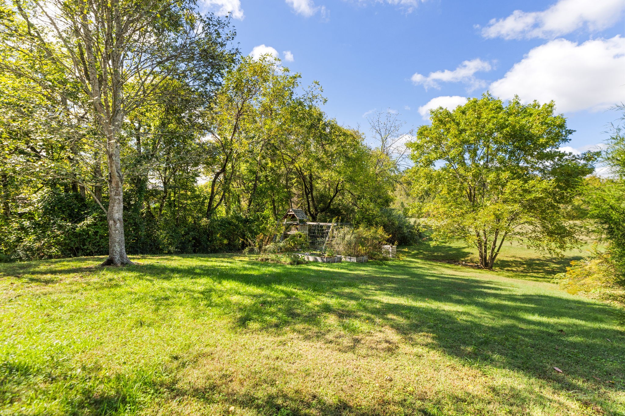 8013 Boone Trace Nashville, TN 37221 - Photo 28 of 34 a yard with trees in the background