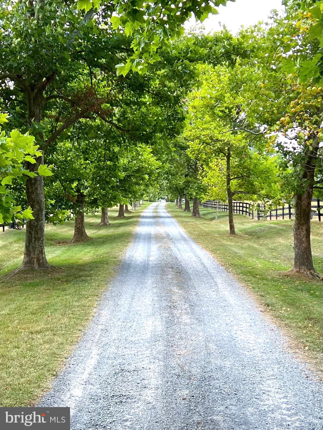 20202 St Louis Road Purcellville, VA 20132 - Photo 2 of 18