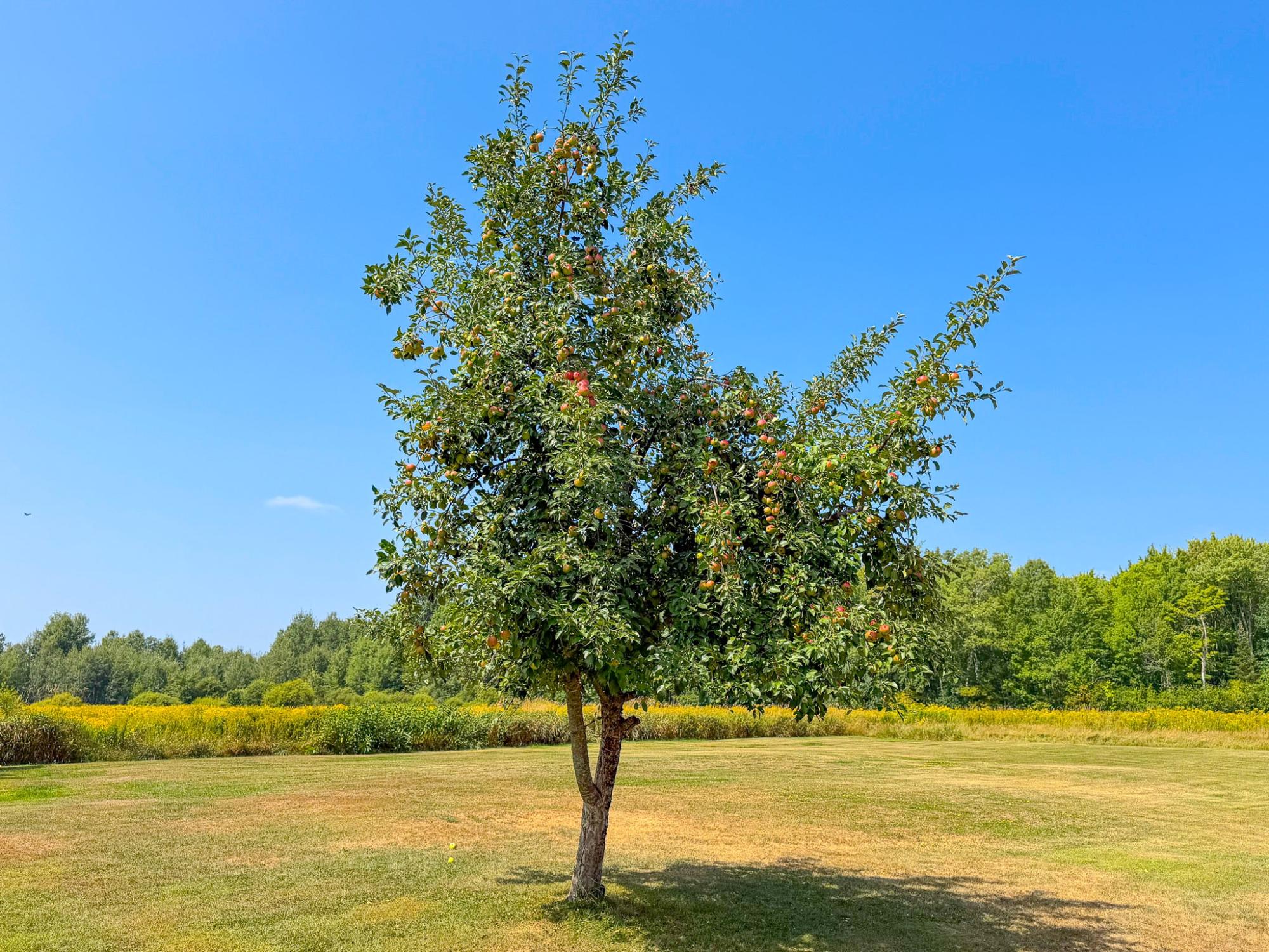 N3979 Oxbow Road Catawba, WI 54515 - Photo 72 of 81 Gallery Image 72