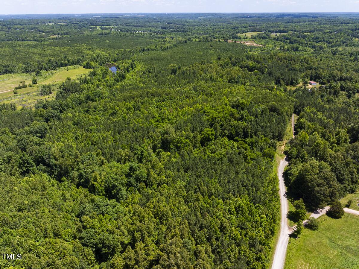 Lot-6-00 Wilson Road Providence, NC 27315 - Photo 35 of 36 Caswell Co. NC 3.01-Backwoods-Lot 6-35