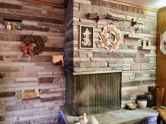 a front view of a house with yard