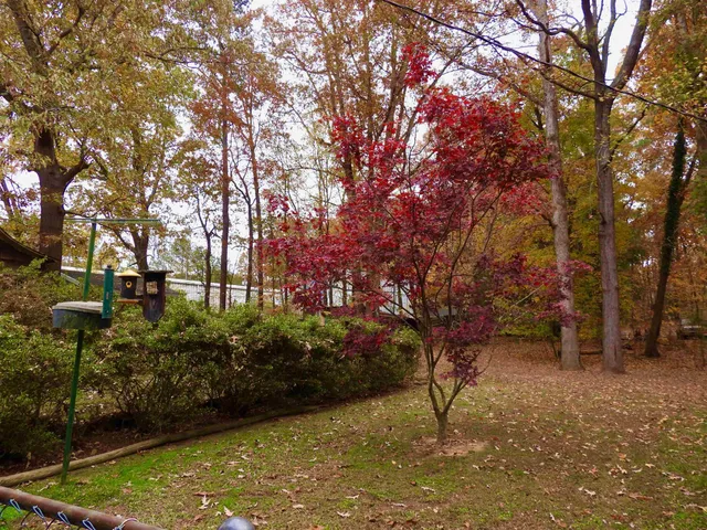 a view of outdoor space with trees