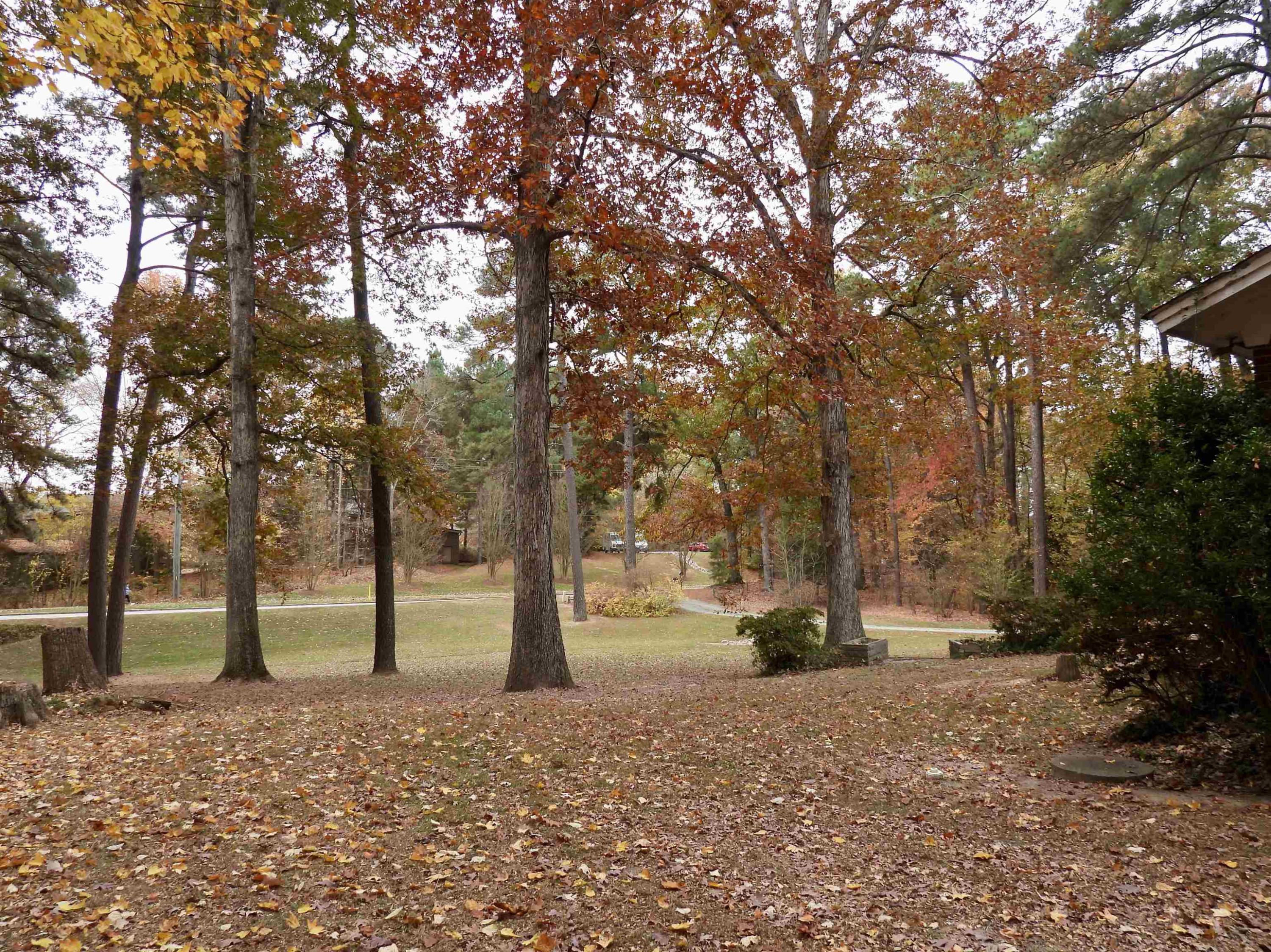 3007 Old Raleigh Road Apex, NC 27502 - Photo 31 of 39 a view of park with trees