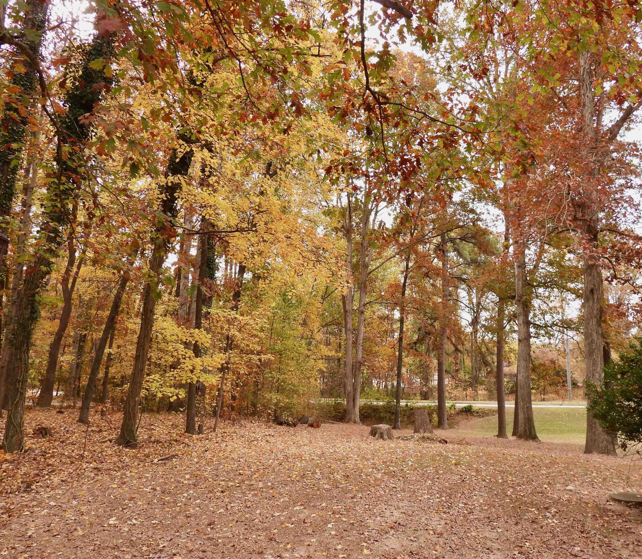 3007 Old Raleigh Road Apex, NC 27502 - Photo 33 of 39 a view of snow covered with snow