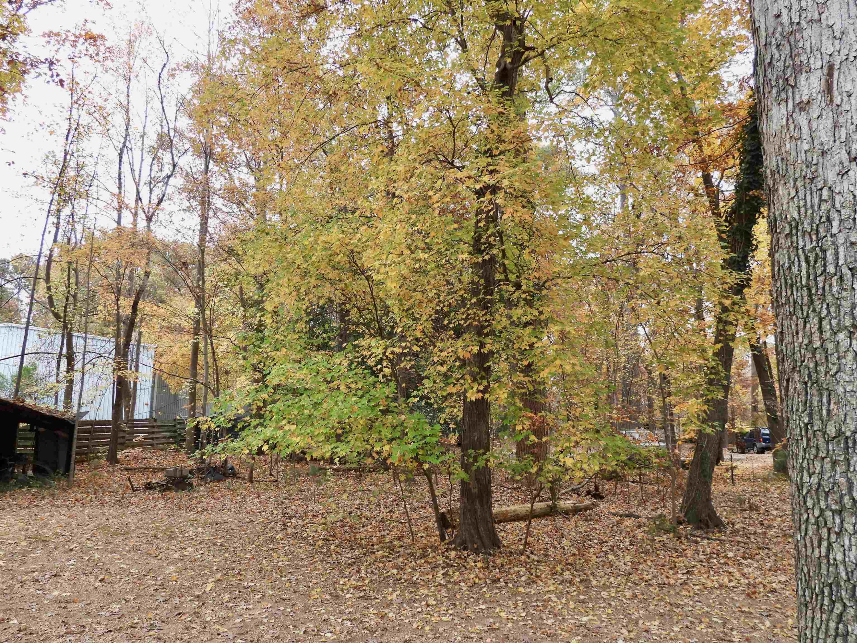 3007 Old Raleigh Road Apex, NC 27502 - Photo 36 of 39