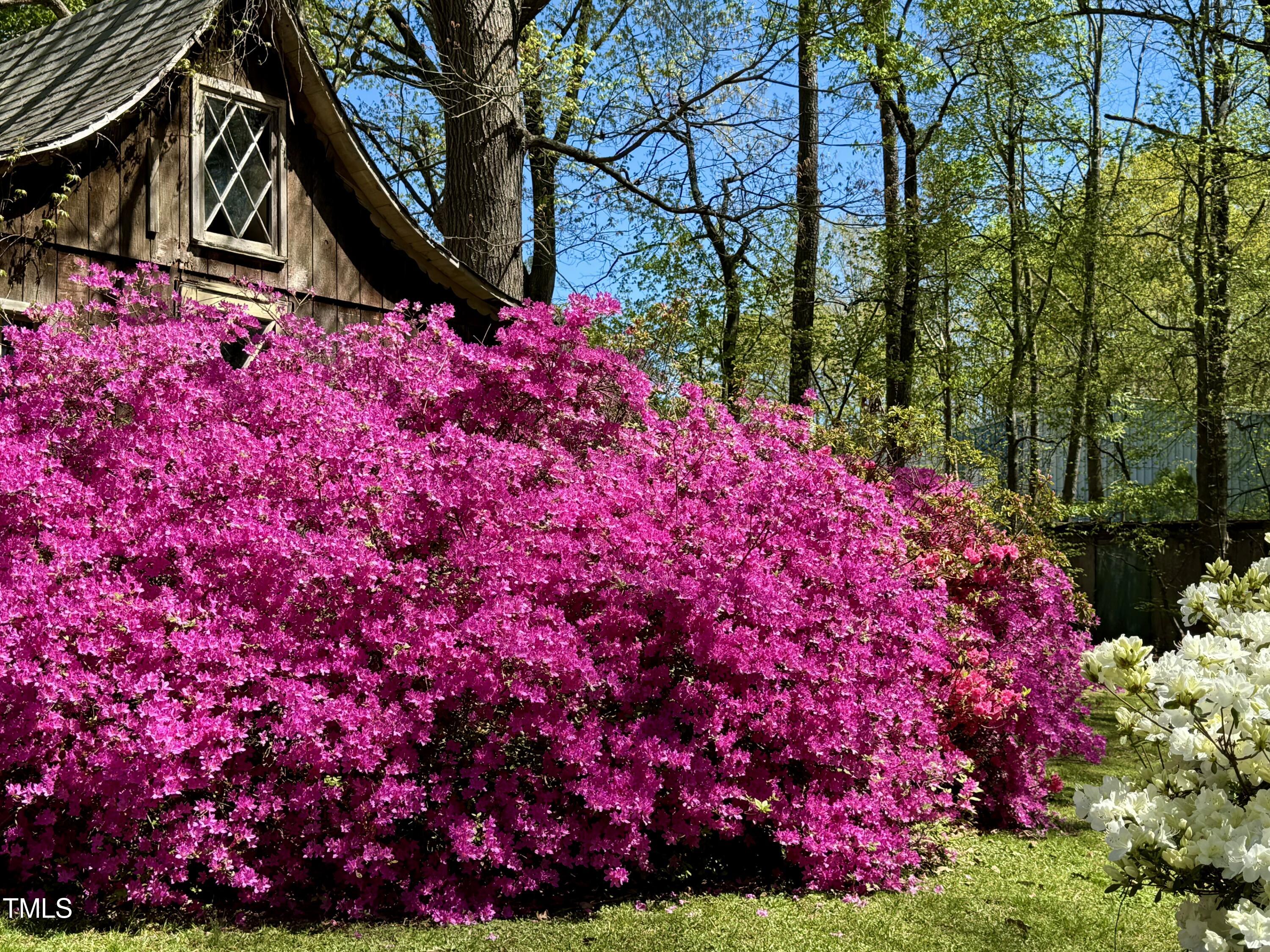 3007 Old Raleigh Road Apex, NC 27502 - Photo 38 of 39 a view of flower in a garden