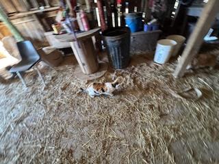 Gallery Image 7